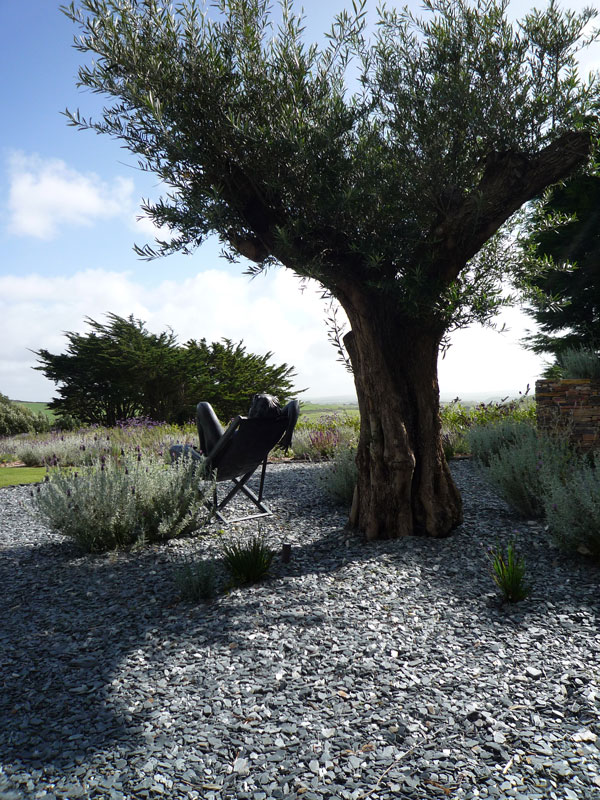Private Garden, Cornwall, image 10