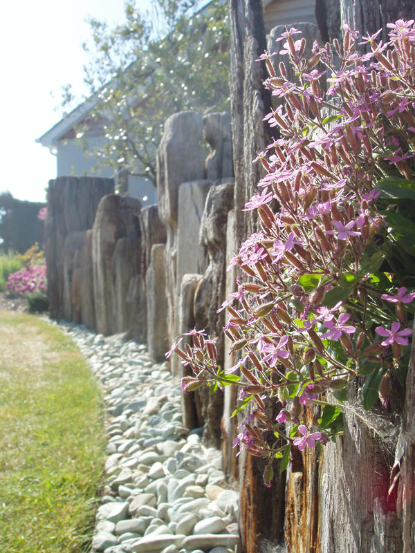 Private Garden, Cornwall, image 16
