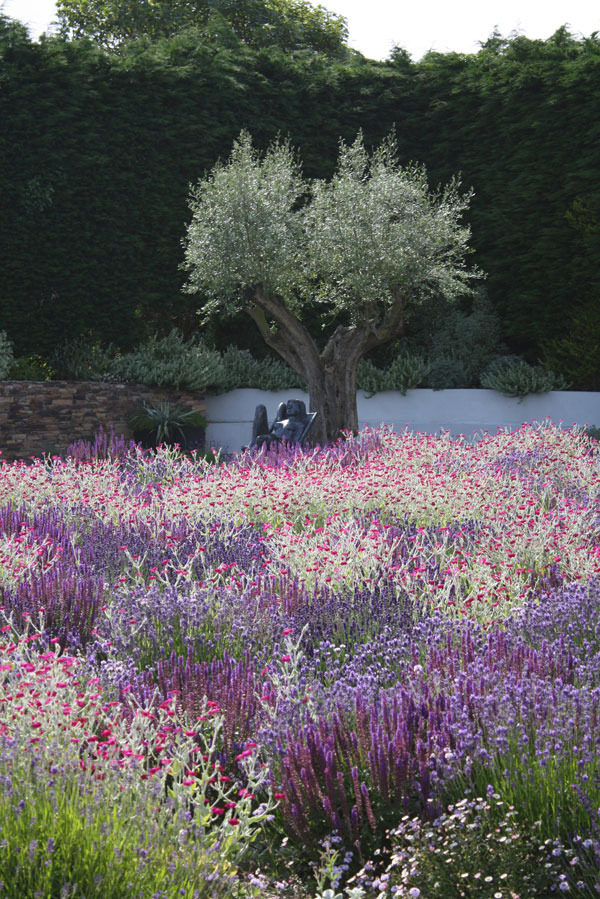 Private Garden, Cornwall, image 2