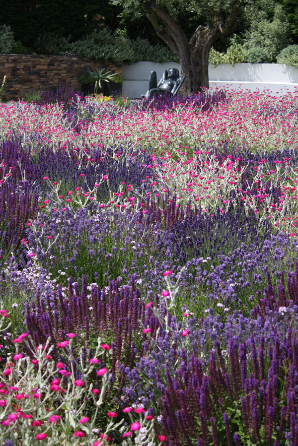 Private Garden, Cornwall, image 3