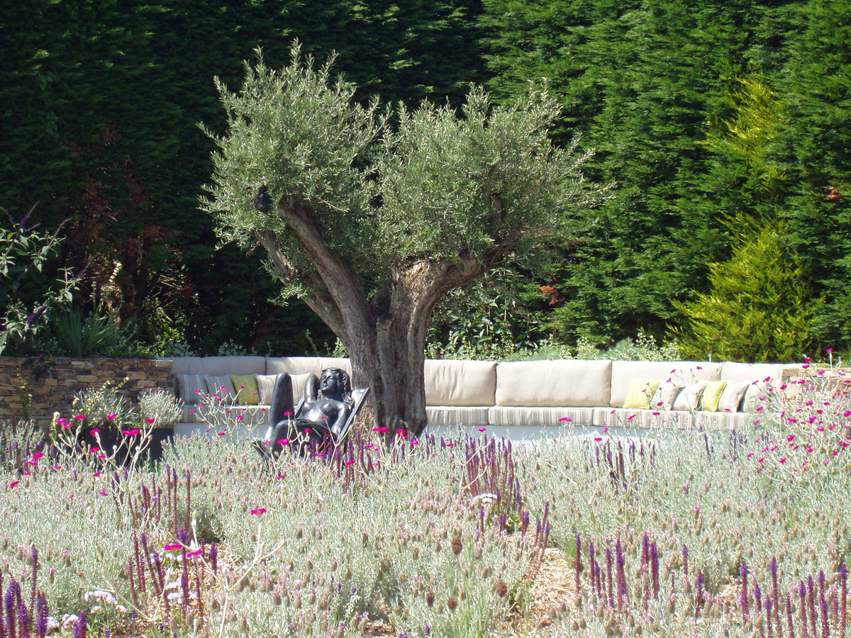 Private Garden, Cornwall, image 9