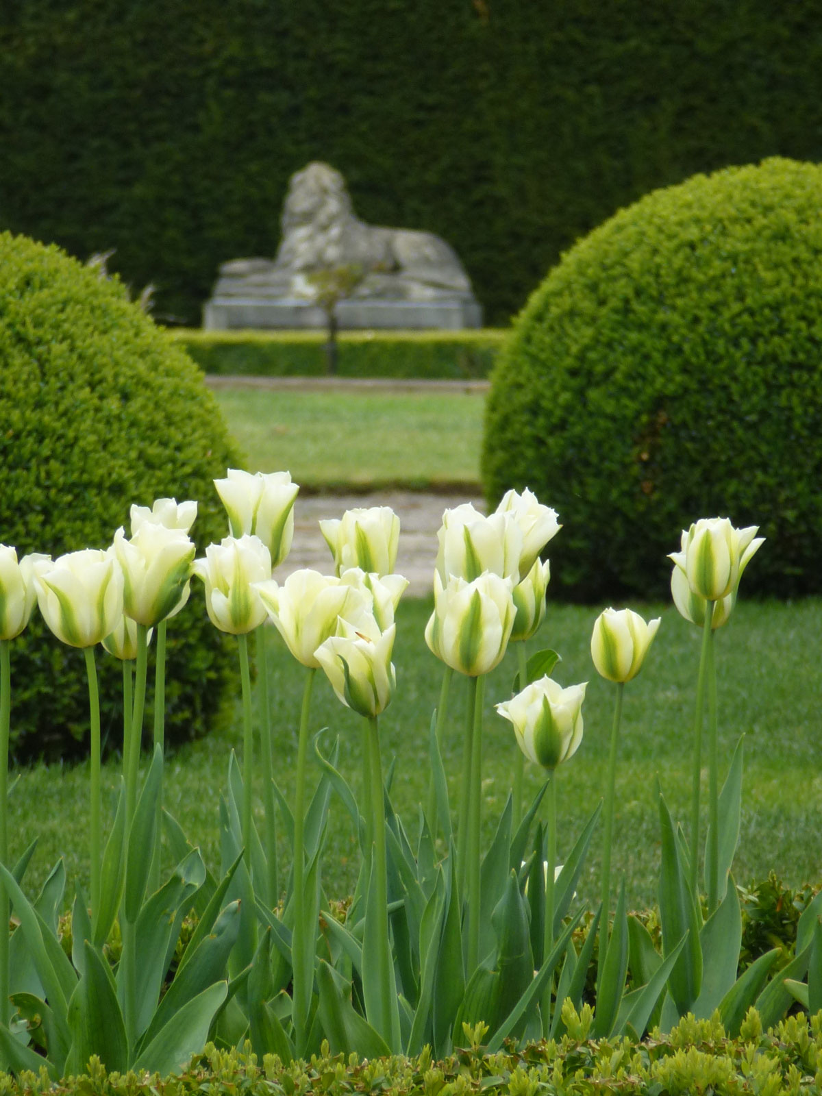 Private Garden, Oxfordshire 12