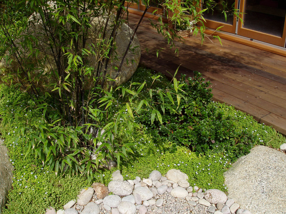 Private Garden, Surrey, image 11
